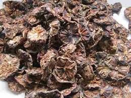 Fruta Noni Desidratada em Rodelas 100 Gramas